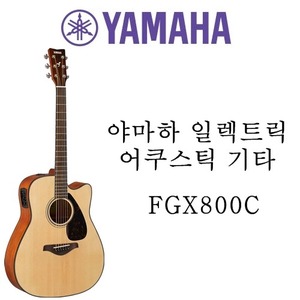 야마하 FGX800C NT